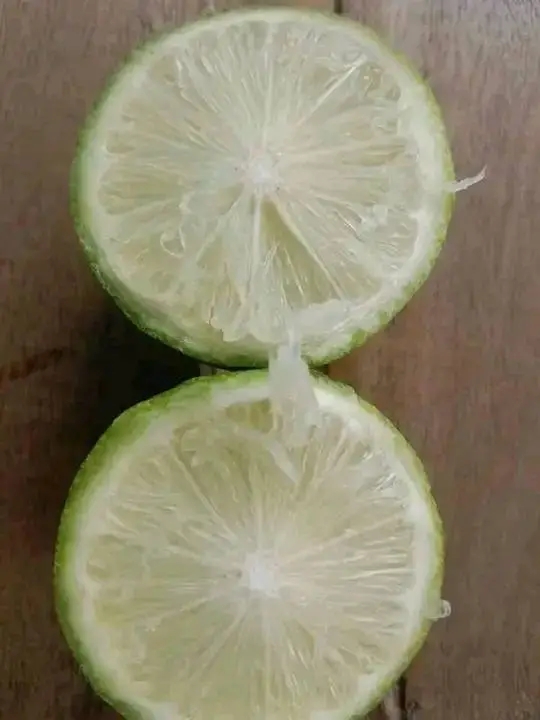 Lemon Nursery 4